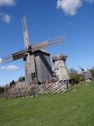 Windmühlen von Angla (Saarema) - 5 von ca. 40 Mühlen sind noch erhalten)